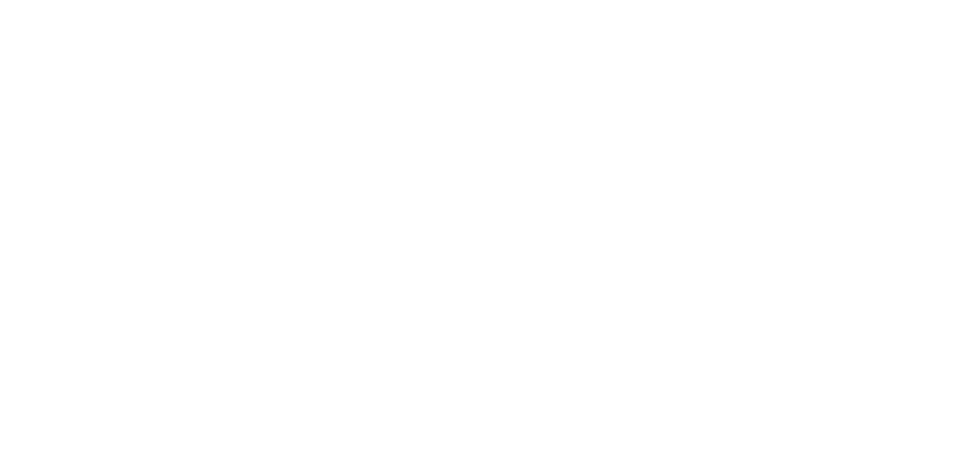 IMC Logo